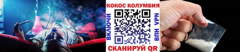 COCAIN Columbia Геленджик