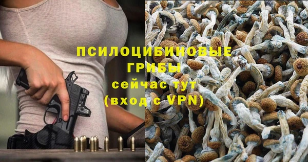 бутират Алзамай