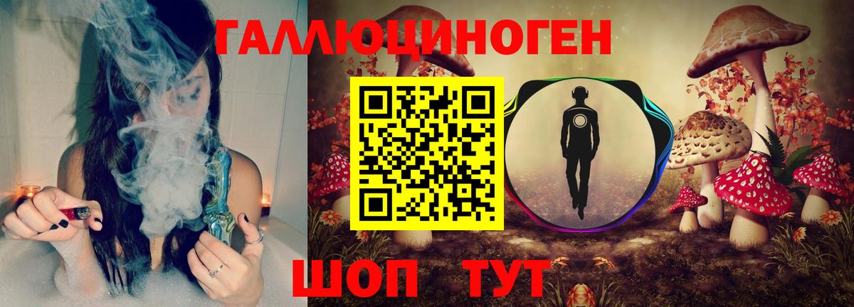Псилоцибиновые грибы мицелий  продажа наркотиков  Геленджик  Вход с VPN 